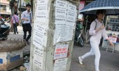 Cạm bẫy trên ... cột điện