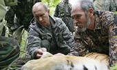 Ông Putin làm gì trong những ngày hè?