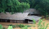 13 người chết, mất tích do mưa lũ