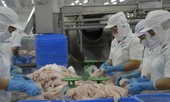 Cá tra “không còn một mình một chợ”