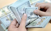 Giá USD trong nước vọt tăng