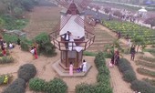 Ngân sách thất thu