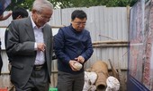 Giáo sư Phan Huy Lê: Nhà sử học tiên phong, nhân cách lớn