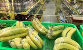 Căng thẳng thương mại Mỹ-Trung: Nông sản Việt xuất khẩu có ảnh hưởng?