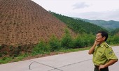 Tàn phá rừng phòng hộ