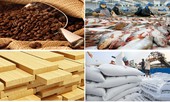 Xuất khẩu nông lâm thủy sản đạt 25,7 tỷ USD