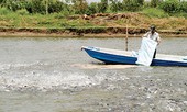 Cá tra giá cao, thiếu nguyên liệu chế biến