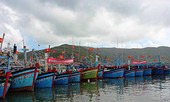 Giám đốc cảng cá Quy Nhơn sẽ mất việc nếu…