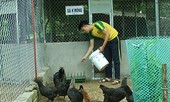 Khởi nghiệp - Hãy 'điên rồ một chút'