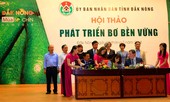 Thú vị với tuần lễ 'Mùa bơ chín'