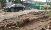 Méo mặt đi trên 'con đường đau khổ' giữa Thủ đô