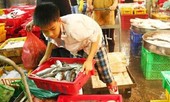 Công việc nào được sử dụng lao động dưới 15 tuổi