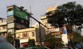 'Rừng 'camera giám sát giao thông để làm gì?