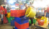 Những 'thân cò' nơi chợ cá