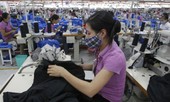 World Bank: Kinh tế Việt Nam tiếp tục tăng trưởng vững chắc