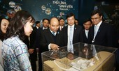 Tiên phong trong khởi nghiệp sáng tạo