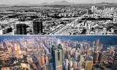 Giữa ngã ba đường