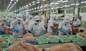 Ðề xuất Việt Nam có hệ thống kiểm tra cá tra tương đương Mỹ 