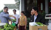 Chuối tiến vua mở đường sang Nhật