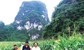 Tôi theo Trần Hòa Bình đi 'gỡ rối tơ lòng'