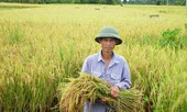 Nông dân đang 'hụt hơi'