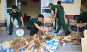Buôn lậu mùa nước nổi: Lực bất tòng tâm