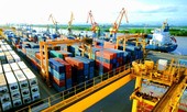 Chính phủ yêu cầu cắt giảm 50% điều kiện kinh doanh