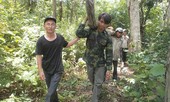 Theo kiểm lâm lùng lâm tặc