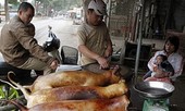Hà Nội vận động không ăn thịt chó: Ai ủng hộ?