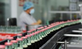 Hàng loạt doanh nghiệp FDI dùng chiêu chuyển giá, trốn thuế