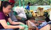Huyện ở Hải Phòng kêu gọi mỗi công chức mua 20 kg vải thiều
