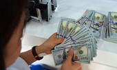 Giá USD tăng mạnh có đáng lo?