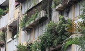 Cải tạo chung cư cũ Hà Nội, khó vì vòng xoáy lợi ích