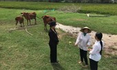 Đổi đời nhờ nguồn vốn của “vua rác” David Dương