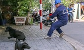 Ông Đoàn Ngọc Hải muốn dẹp nạn chó thả rông
