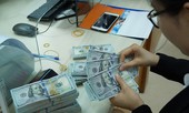 Giá USD tự do hạ nhiệt sau khi vọt lên 23.700 đồng/USD