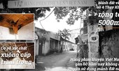 Các nghệ sĩ lo lắng cho tương lai của Hãng phim 60 tuổi sau thanh tra