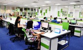 Sức hút lớn từ môi trường làm việc tại các công ty đa quốc gia