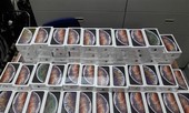 Lô hàng gần 1.200 iPhone không khai hàng hóa nhập khẩu