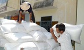 Xuất cấp gạo cho 2 tỉnh Ninh Thuận và Bình Định