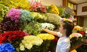 Hoa 'lạ' nhập ngoại bán ngập phố Sài Gòn dịp 20/10