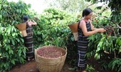 Nestlé khẳng định cam kết thúc đẩy trao quyền cho phụ nữ