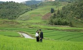 Tập đoàn khách sạn Mường Thanh ra mắt MV ‘Hành trình yêu’