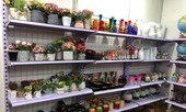 Nhà sách Tiền Phong tham dự Ngày hội khuyến mãi du lịch