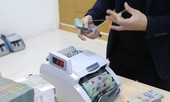 Lãi suất liên ngân hàng chững lại