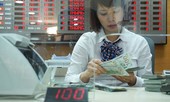 Ngân hàng Nhà nước 'lên lịch hẹn' bán ngoại tệ