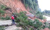 Bán đảo Sơn Trà sạt lở nghiêm trọng sau mưa lớn