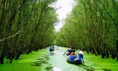 Sao Mai Trà Sư ‘mở mũi’ xúc tiến du lịch sinh thái