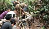 Chạm trán với trăn khổng lồ dài 8m, người đàn ông bị quấn chặt