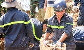 BẢN TIN THANH NIÊN: Cứu trợ các gia đình bị thiệt hại do mưa lũ